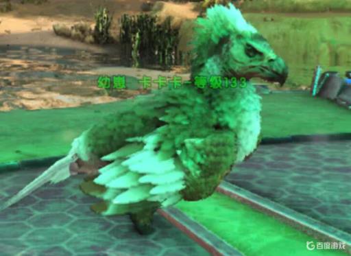 方舟阿根廷巨鹰蛋怎么孵化?4