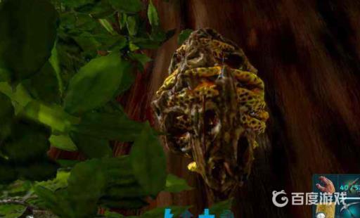 方舟蜂巢怎么放置在家?2