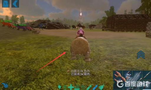 方舟生存进化角质如何大量获得?4