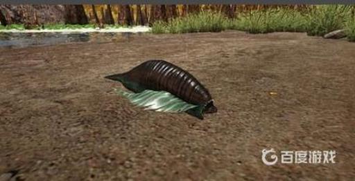 方舟水蛭怎么移除?1