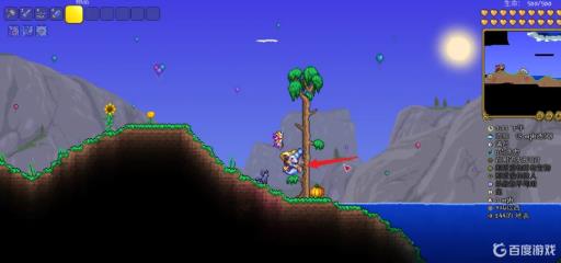 泰拉瑞亚电脑版钩子怎么用?4