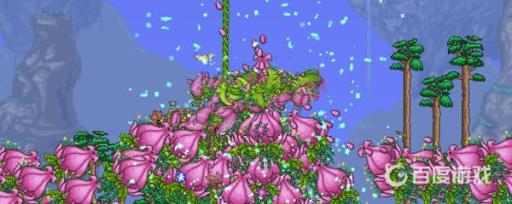 泰拉瑞亚打世纪之花的条件是什么?2