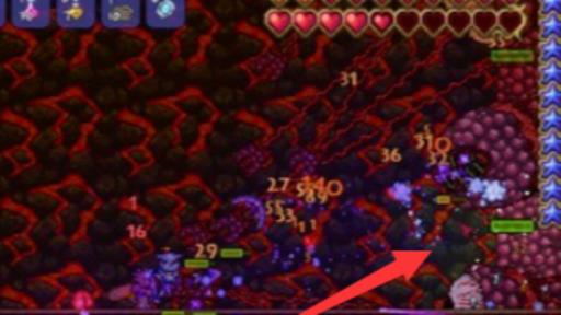 泰拉瑞亚肉山在哪里打?5