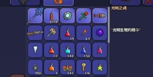 泰拉瑞亚神圣之地有什么用?3