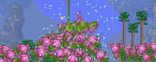 泰拉瑞亚世纪之花花苞怎么刷?2