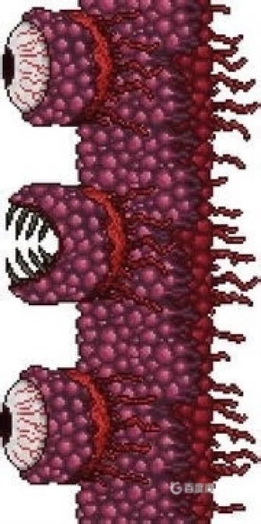 泰拉瑞亚向导死了还能召唤肉山吗?2