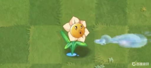 植物大战僵尸小鬼僵尸最怕什么植物?1