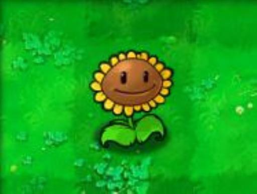 植物大战僵尸植物的用法是什么?2