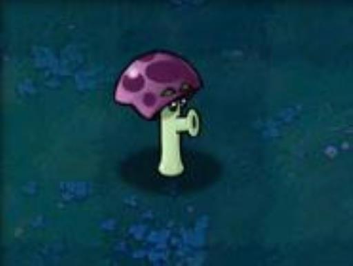 植物大战僵尸植物的用法是什么?13