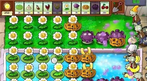 植物大战僵尸95怎么刷金币?4