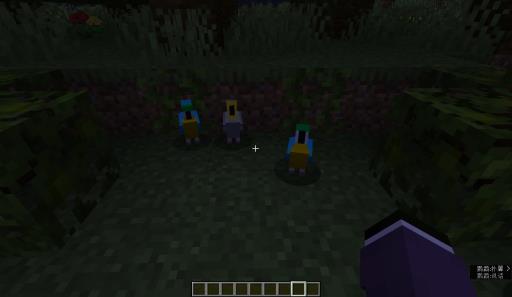 我的世界鹦鹉在哪里能找到?2