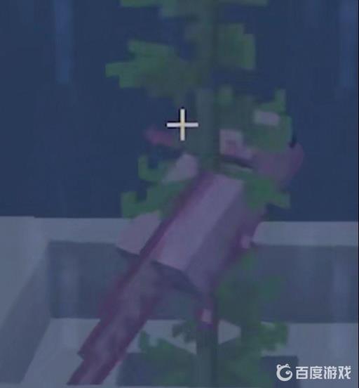 我的世界娃娃鱼怎么养?2