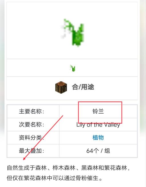 我的世界铃兰在哪里生长?2