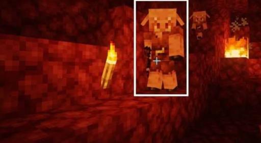 我的世界怎么跟僵尸猪人交易?4