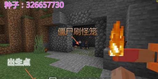 我的世界什么种子出生在农村?4