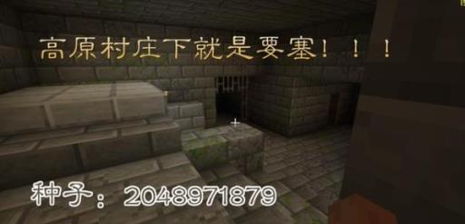 我的世界什么种子出生在农村?7