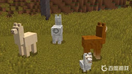 我的世界羊驼身上装什么好?1