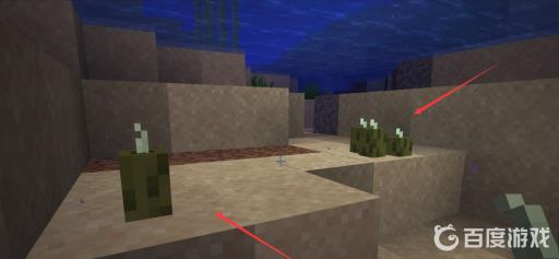 我的世界海泡菜怎么繁殖?5