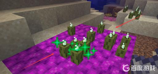 我的世界海泡菜怎么繁殖?6