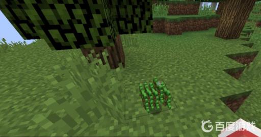 我的世界苹果树怎么种?4