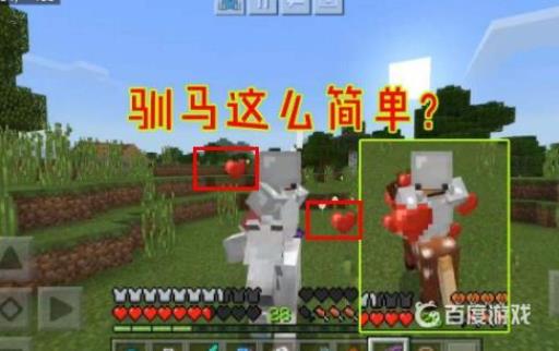 我的世界怎么训练马?3