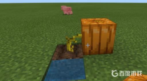 我的世界雕刻南瓜怎么做?3