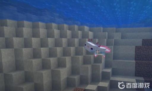 我的世界美西螈怎么找?2