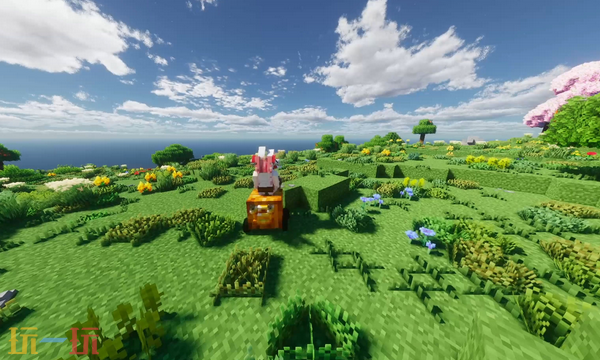 我的世界怎么显示种子1