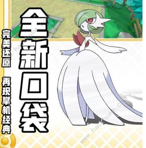 口袋觉醒升级攻略1