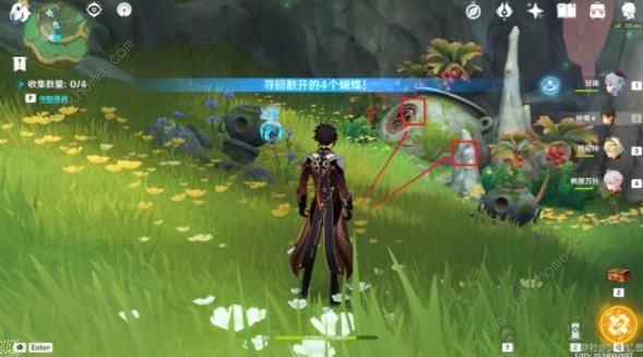 原神彩蝶翩然过谷中任务攻略9