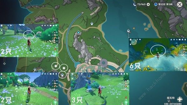 原神4.3枫丹晶碟采集路线图_原神风晶蝶分布