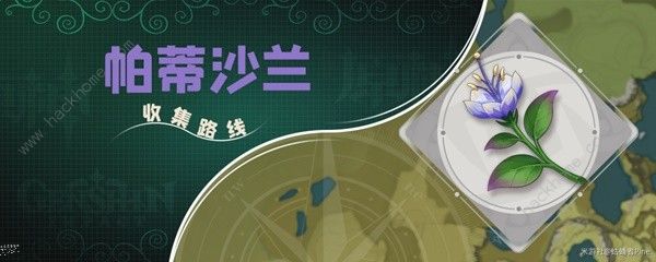原神帕蒂沙兰新版采集位置大全_原神帕蒂沙兰新版采集位置攻略详解