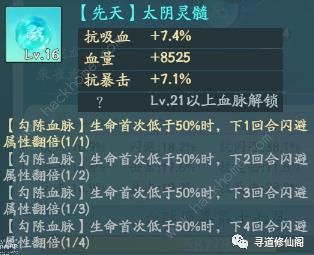 寻道大千减伤流搭配攻略6