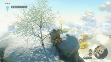 王国之泪呀哈哈机关解谜攻略8