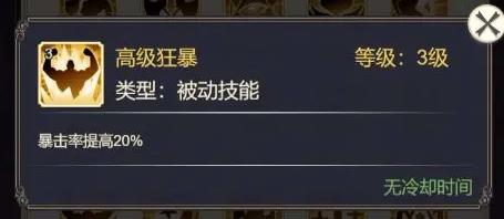 女武神之剑符文大全4