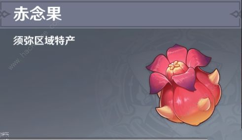 原神赤念果位置大全1