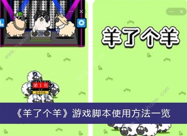 羊了个羊脚本教程安装1