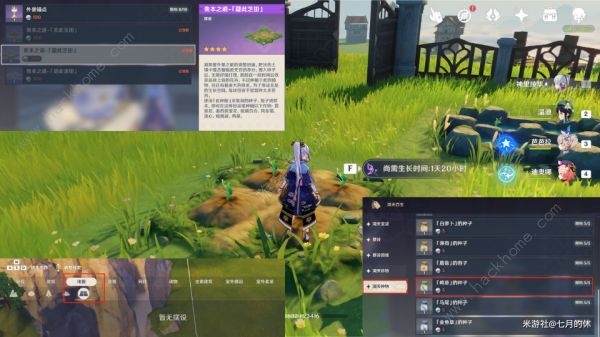 原神久岐忍突破材料大全5