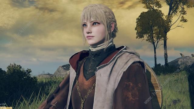 艾尔登法环捏脸数据大全11