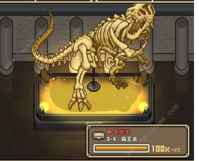 我的化石博物馆新手攻略_我的化石博物馆升级