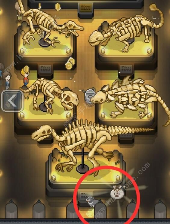 我的化石博物馆新手攻略4