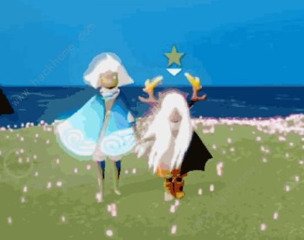 光遇重组季动作展示总汇4