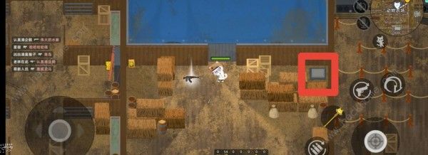 小动物之星奇遇总汇5