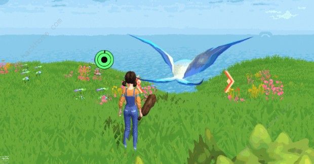 创造与魔法天空果实位置介绍_创造与魔法天空果实在哪里获得?