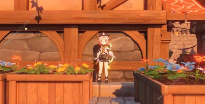 原神迪奥娜位置大全1