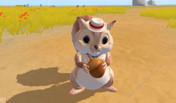 创造与魔法松鼠宠物厉害吗_创造与魔法松鼠宠物进阶资质表