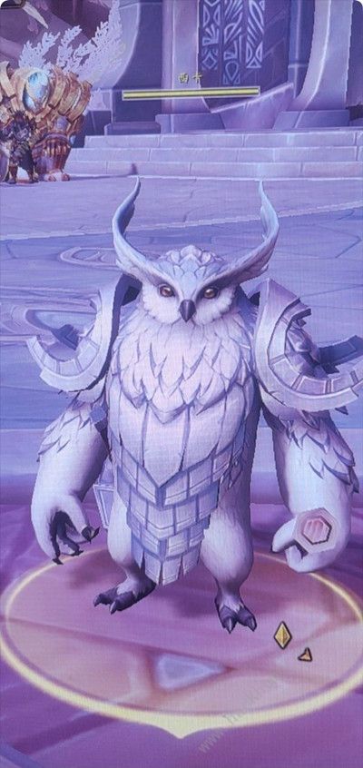 魔兽世界人以群分任务攻略2