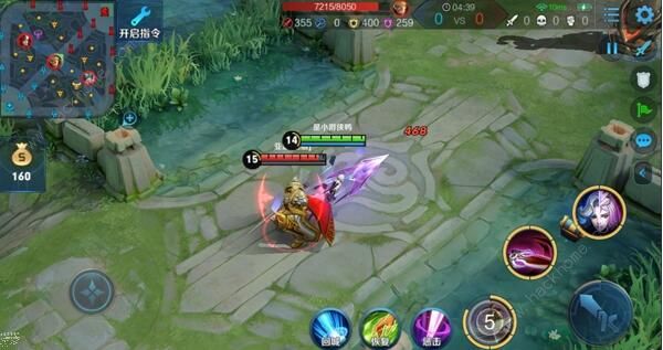 王者荣耀镜原皮海报3