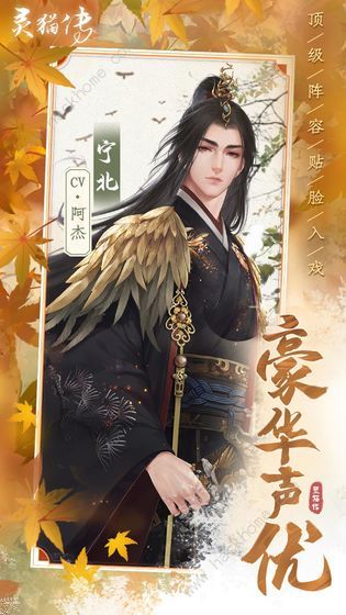 灵猫传攻略大全3