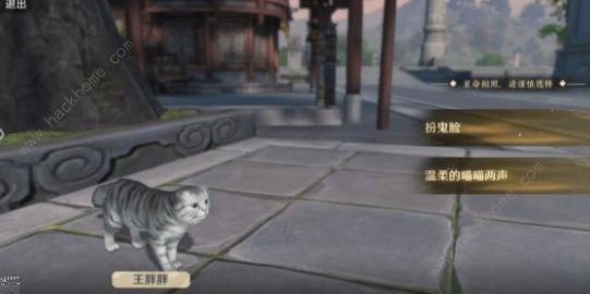天涯明月刀手游小猫咪怎么获得2